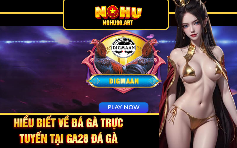 Mẹo Chơi GA28 Đá Gà Tại EV88: Chiến Thắng Đến Từ Sự Tinh Tế 2 Hiểu Biết Về Đá Gà Trực Tuyến Tại GA28 Đá Gà